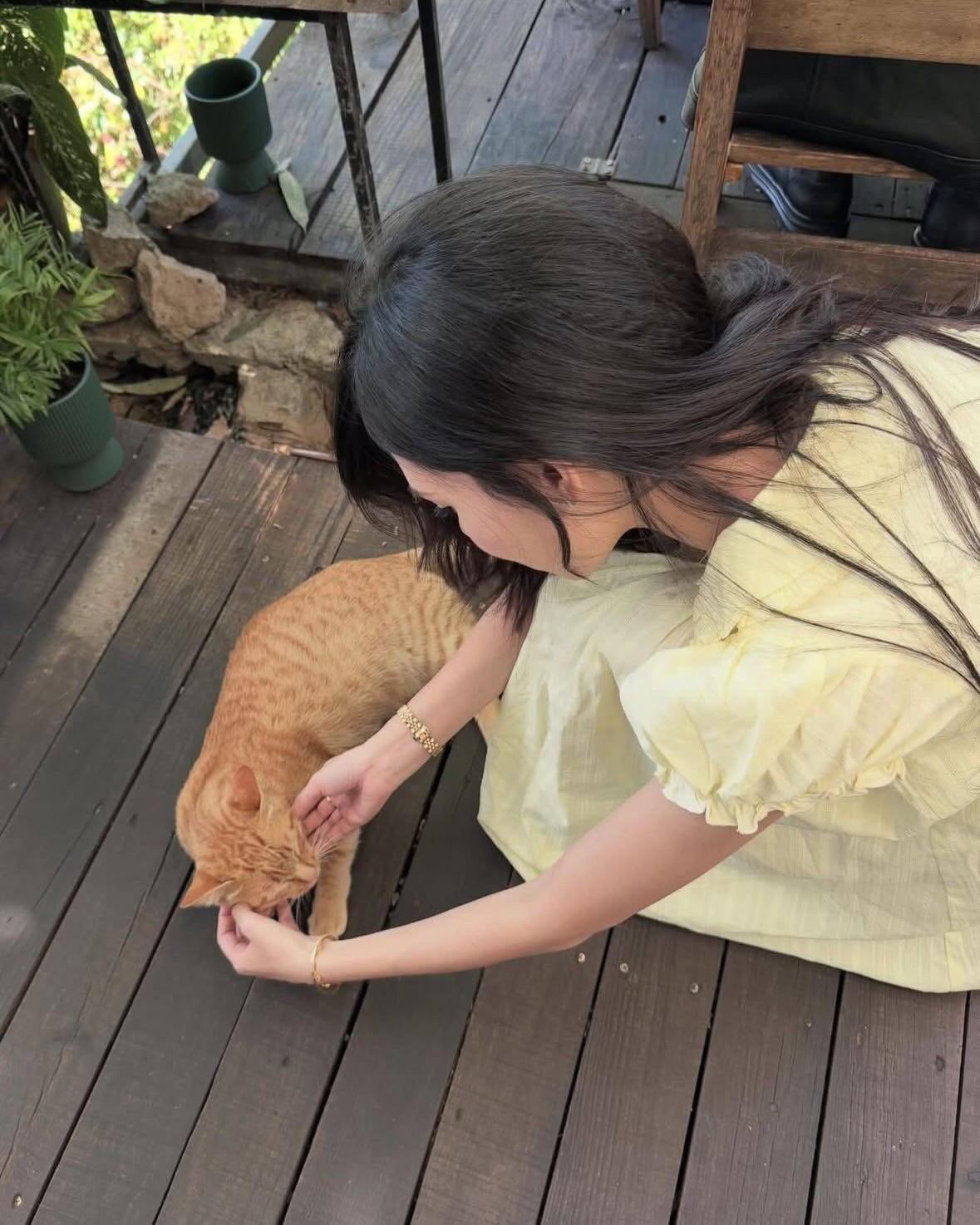 Tỷ Đoạt Ngôi Hậu, Ta Đoạt Thiên Hạ