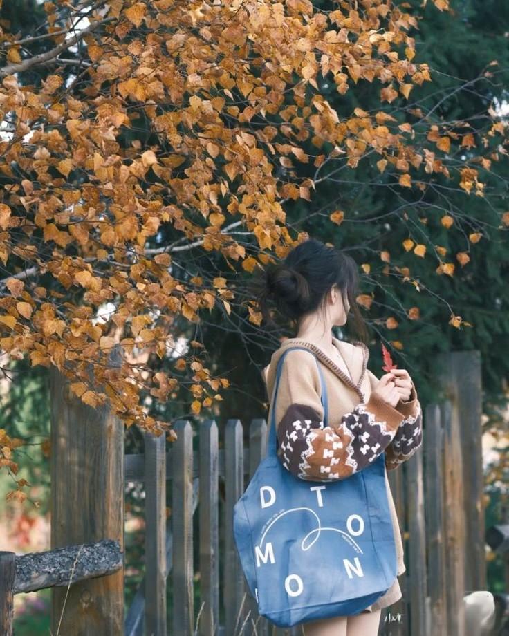 Xé Nát Hào Quang Nữ Chính