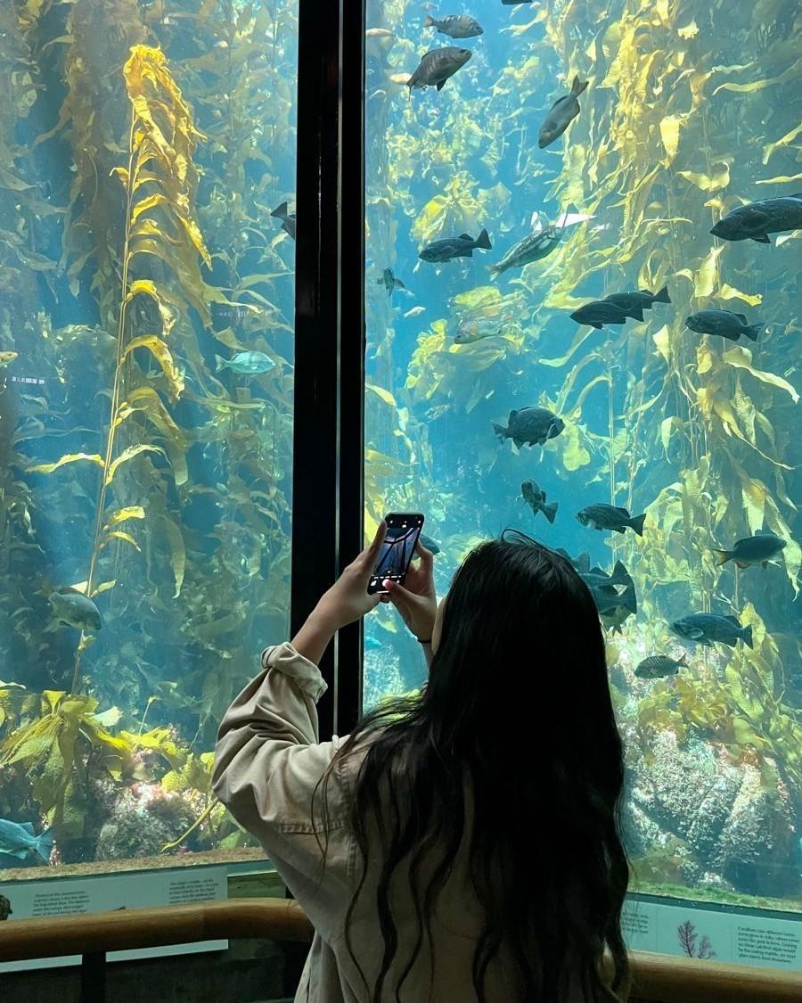 Ba Tháng Bị Cô Lập