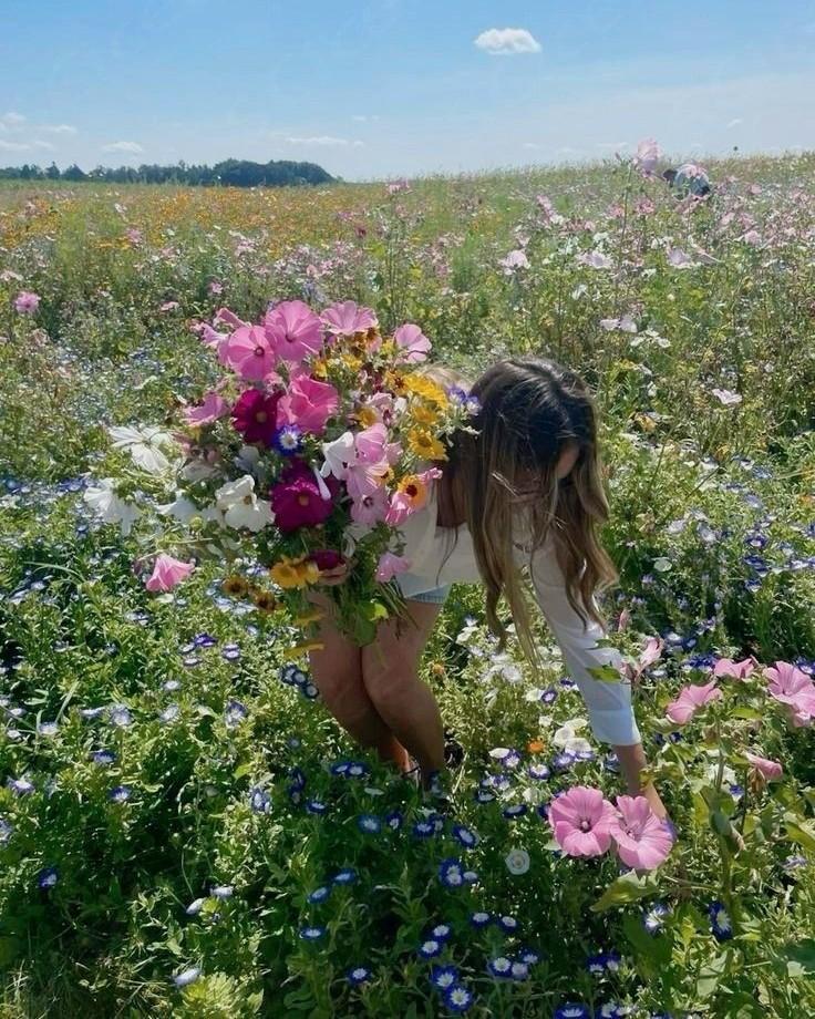 Giữa Tôi Và Cô Ấy, Anh Chọn Ai