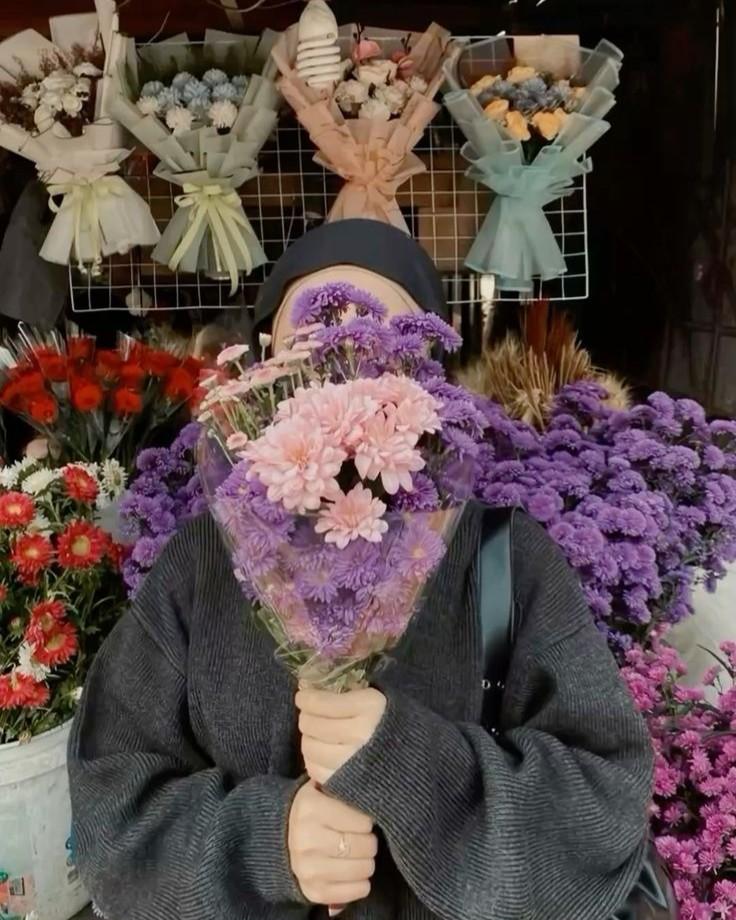 Chim Hoàng Yến Mang Thai