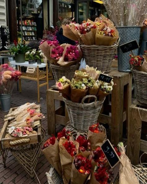 Nữ Vương Không Quay Đầu