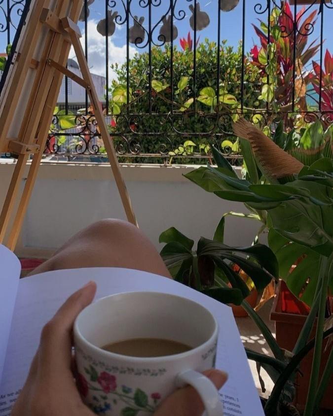 Học Bá Giả Đừng Diễn Nữa, Chính Chủ Quay Lại Rồi