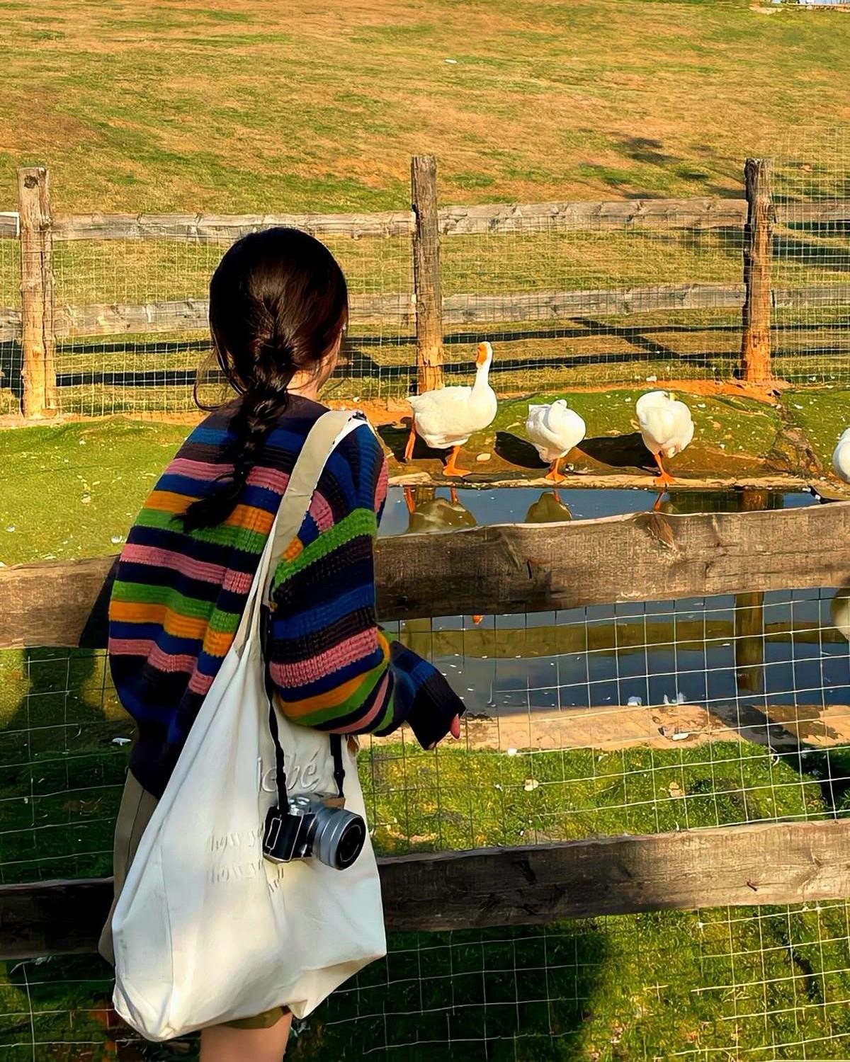 Đại Tiểu Thư Bị Gọi Là Đào Mỏ