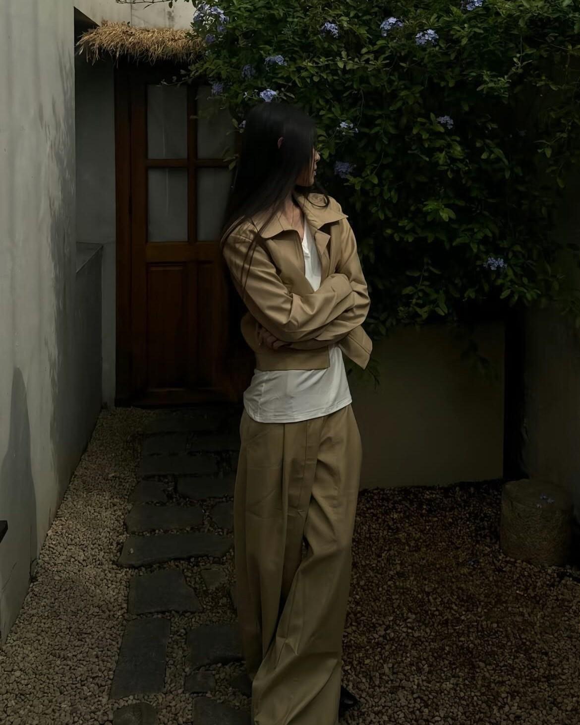 Thái Hậu Hồi Triều