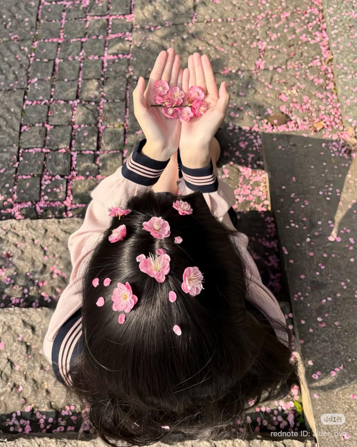 Anh Trai Tôi Là Kẻ Trộm