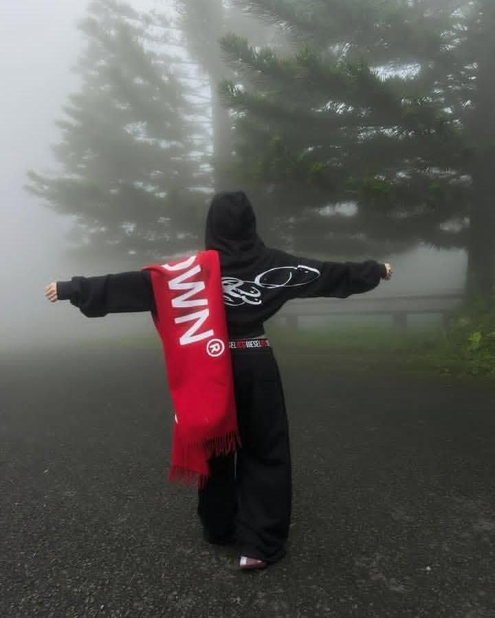 Phủ Công Chúa, Hôm Nay Đổi Chủ