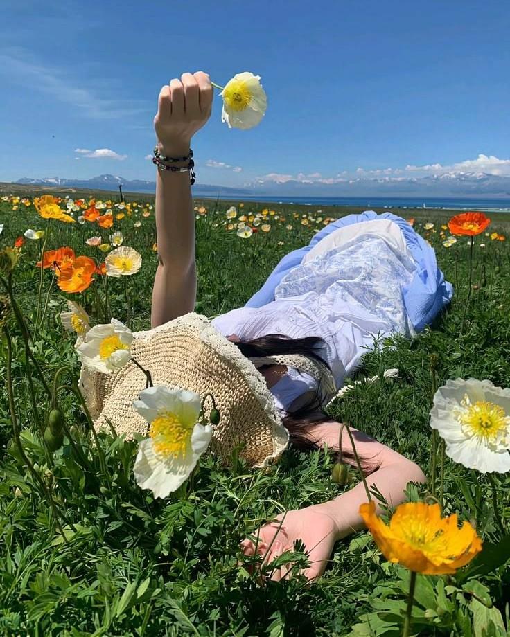 Ly Hôn Trong Ngày Mua Nhà