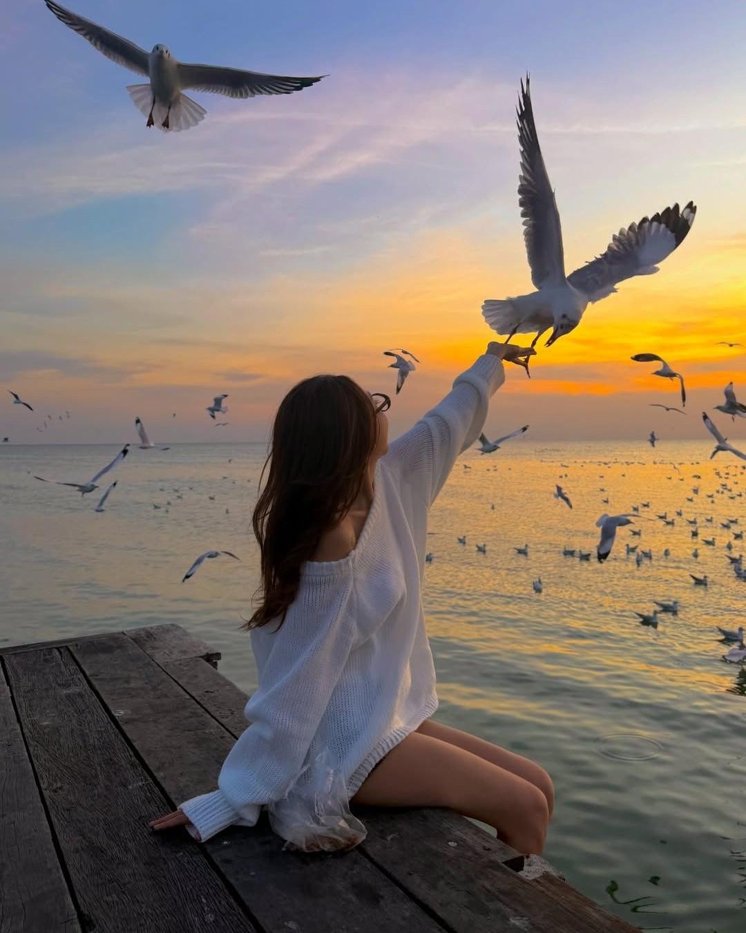 Chồng Tôi Nuôi Chim Hoàng Yến