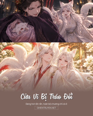 Cửu Vĩ Bị Tráo Đổi
